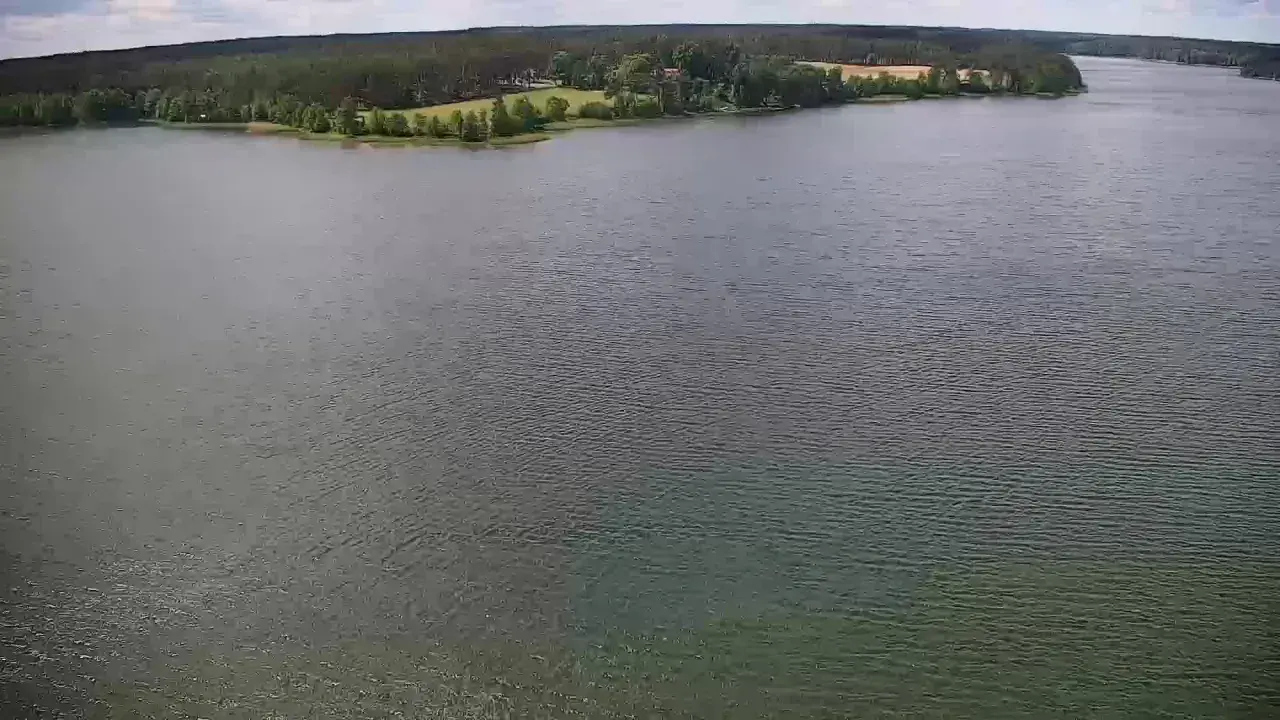 Rozległe jezioro Wdzydze otoczone lasem i zielonymi polami. Spokojna tafla wody odbija niebo.
