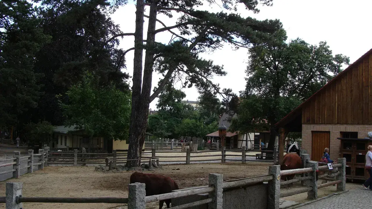 Zwierzęta gospodarskie w zagrodzie, drewniane budynki i drzewa.