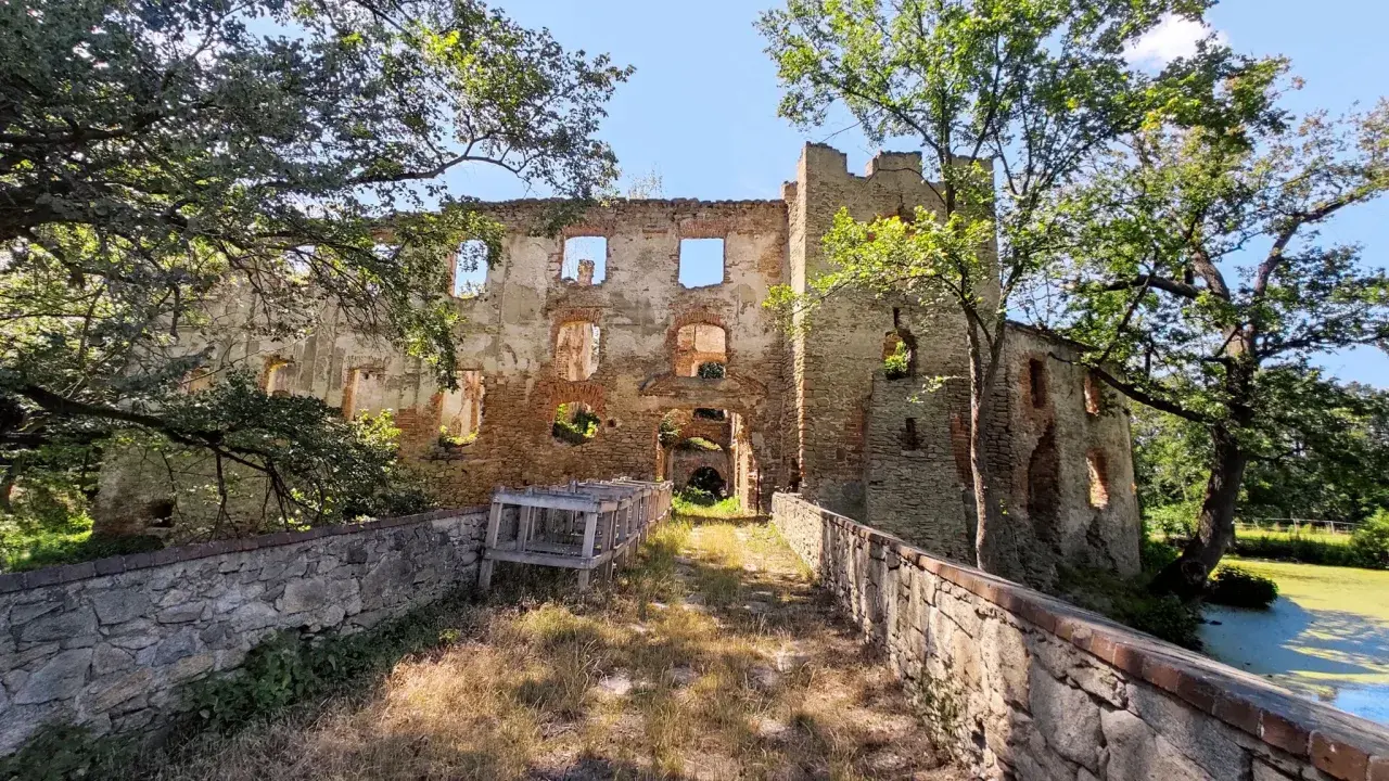 Ruiny zamku w Dzierżoniowie, malownicze atrakcje przyrodnicze i architektoniczne, otoczone zielenią i wodą.