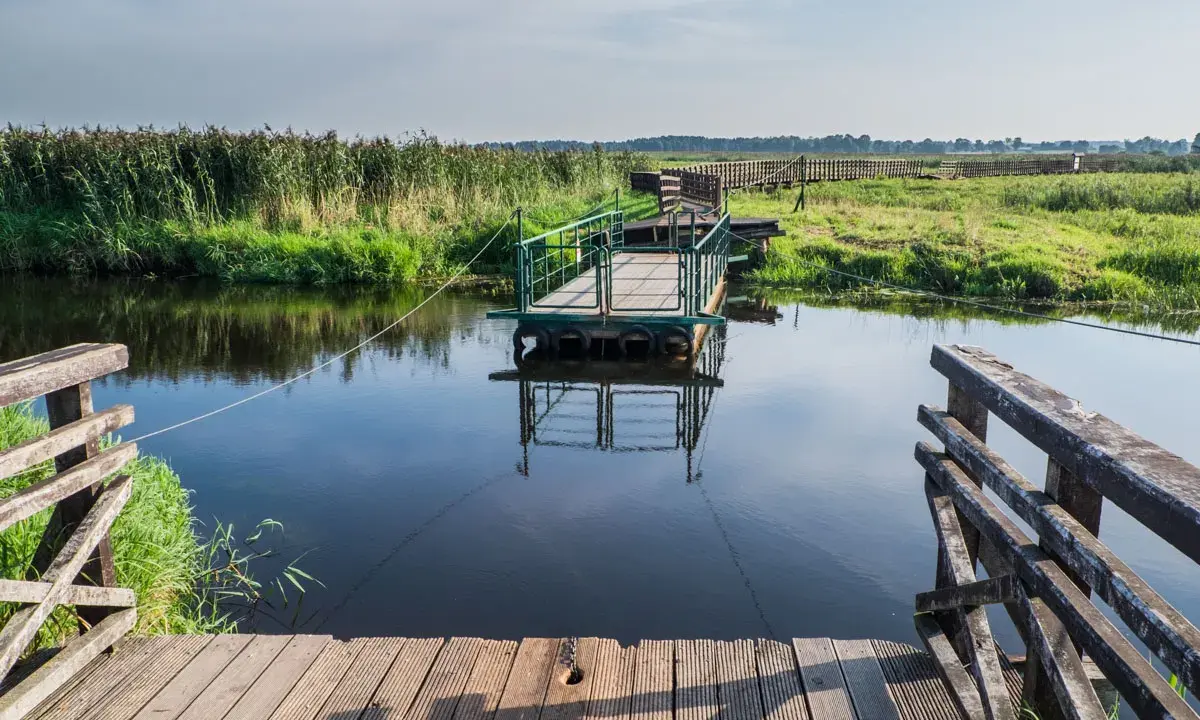 Drewniana kładka i prom na spokojnej wodzie. Biebrzański Park Narodowy atrakcje przyrodnicze zachwycają.
