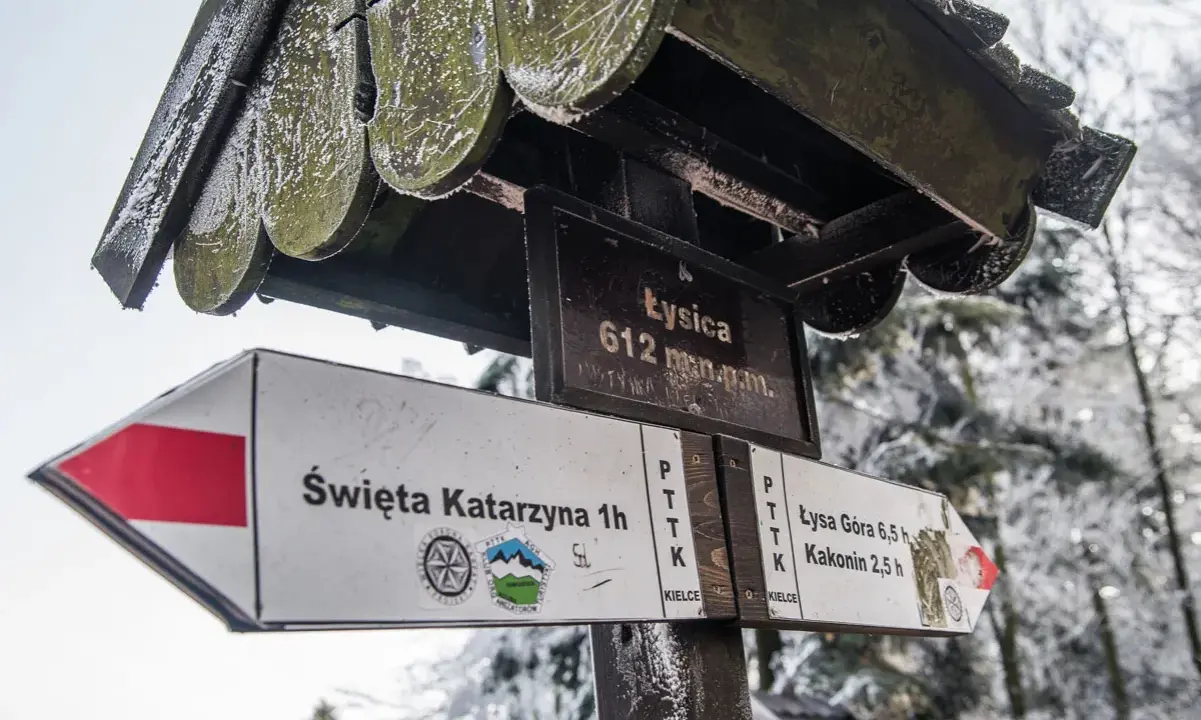 Zimowa trasa na Łysicę. Znaki PTTK wskazują drogę do Świętej Katarzyny, Łysej Góry i Kakonina.