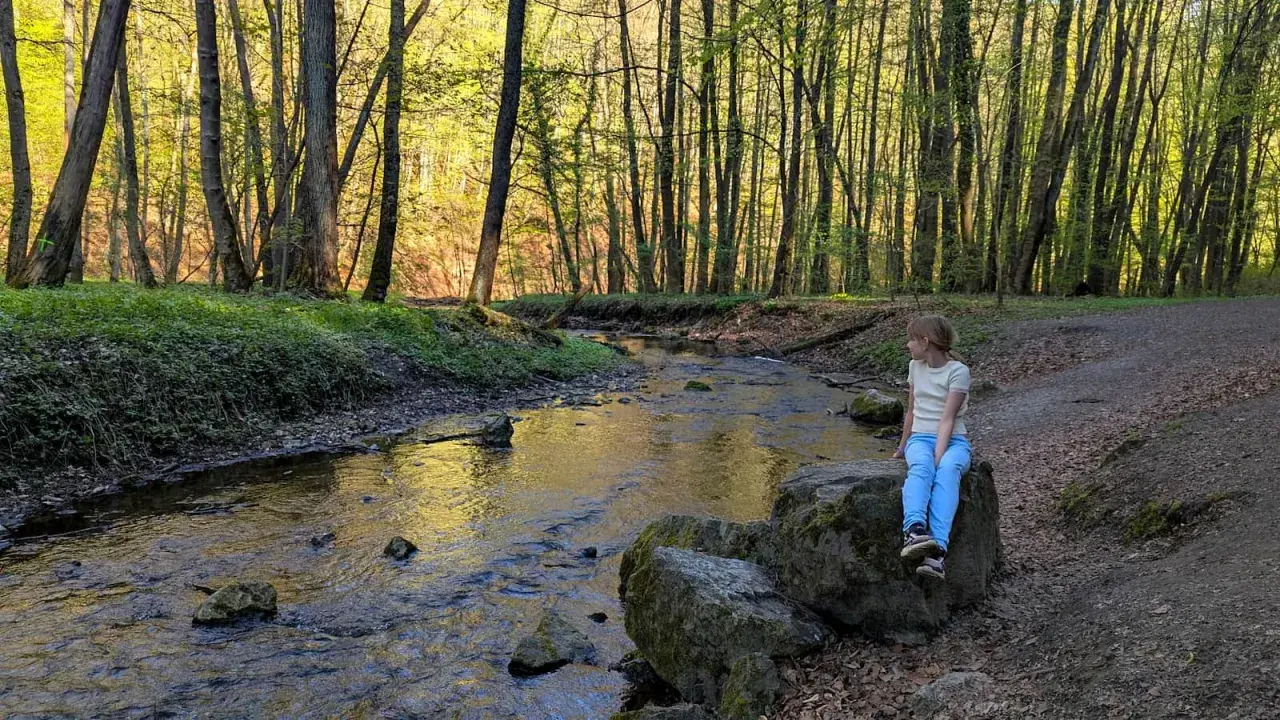 Dziewczynka siedzi na kamieniu nad strumieniem w lesie. Wiosna w dolinie Racławki.