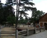 Zwierzęta gospodarskie w zagrodzie, drewniane budynki i drzewa.