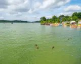 Zielona woda jeziora, łódki i rowery wodne przy brzegu, kaczki pływające na wodzie. Chmielno atrakcje turystyczne.