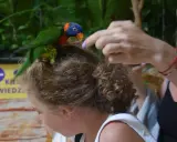 Kolorowa papuga siedzi na głowie dziewczynki w zoo Kaszuby. Kobieta wyciąga rękę, by pogłaskać ptaka.