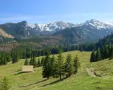 Piękne trasy Tatry. Zielone hale, lasy i ośnieżone szczyty. Drewniana chata i ścieżka zapraszają do wędrówki.