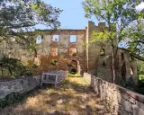 Ruiny zamku w Dzierżoniowie, malownicze atrakcje przyrodnicze i architektoniczne, otoczone zielenią i wodą.