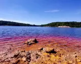 Malownicze jezioro o intensywnie niebieskiej wodzie, z czerwonymi refleksami przy brzegu. W tle las i piaszczyste wzgórza. To niezwykłe miejsce to łuk Mużakowa.