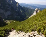 Wędrowiec wspina się kamienistym szlakiem przez gęste kosodrzewiny, odkrywając piękno doliny małej łąki.