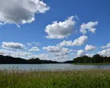 Spokojne **ostrzyce jezioro** otoczone zielonymi lasami, z puszystymi chmurami na błękitnym niebie.