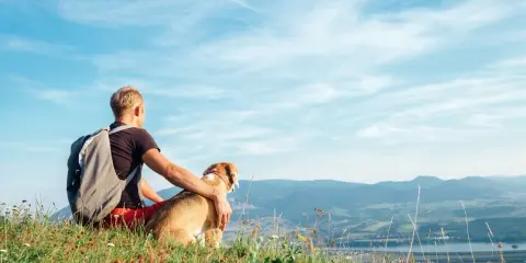Mężczyzna z psem siedzą na wzgórzu, podziwiając krajobraz. Idealne miejsce, gdzie w góry z psem.