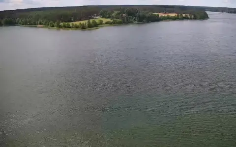 Rozległe jezioro Wdzydze otoczone lasem i zielonymi polami. Spokojna tafla wody odbija niebo.