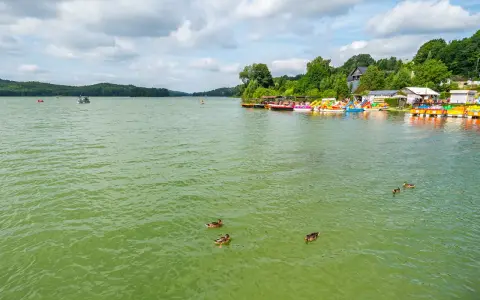 Zielona woda jeziora, łódki i rowery wodne przy brzegu, kaczki pływające na wodzie. Chmielno atrakcje turystyczne.