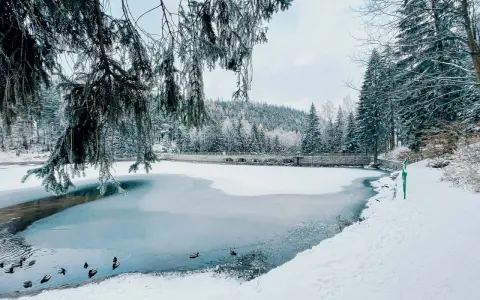 Zimowy krajobraz z zamarzniętym jeziorem i kaczkami. W tle widoczna karpatka góra porośnięta lasem.