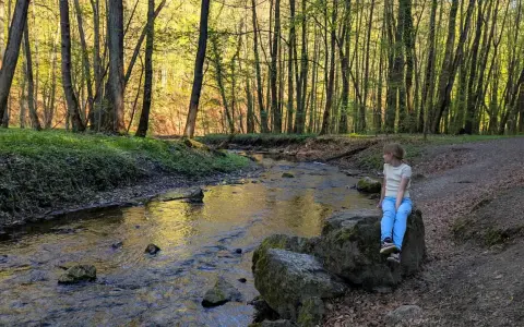 Dziewczynka siedzi na kamieniu nad strumieniem w lesie. Wiosna w dolinie Racławki.