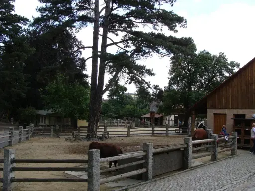 Zwierzęta gospodarskie w zagrodzie, drewniane budynki i drzewa.