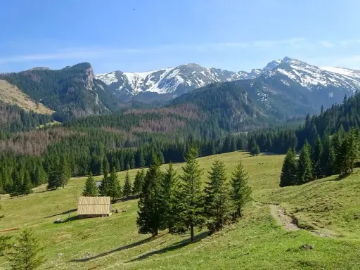 Piękne trasy Tatry. Zielone hale, lasy i ośnieżone szczyty. Drewniana chata i ścieżka zapraszają do wędrówki.