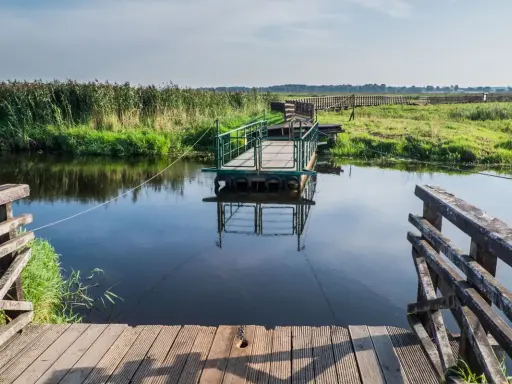 Drewniana kładka i prom na spokojnej wodzie. Biebrzański Park Narodowy atrakcje przyrodnicze zachwycają.