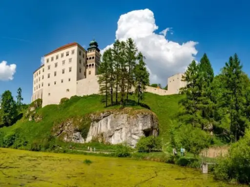 Zamek na skale, zielone wzgórza i staw – idealne miejsce, by zobaczyć, co oferuje Jura Krakowsko-Częstochowska.