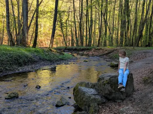 Dziewczynka siedzi na kamieniu nad strumieniem w lesie. Wiosna w dolinie Racławki.
