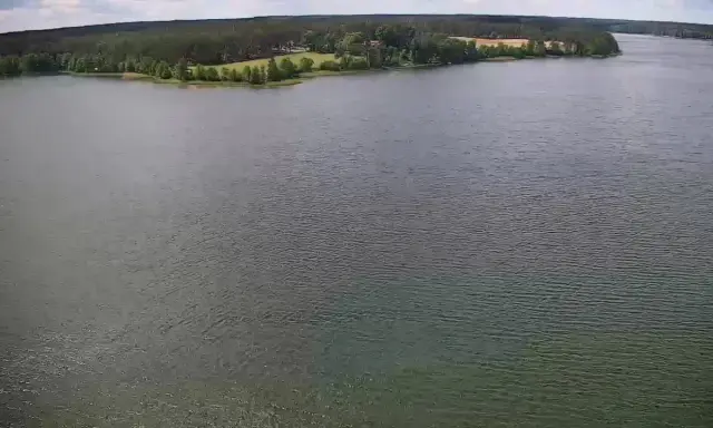 Rozległe jezioro Wdzydze otoczone lasem i zielonymi polami. Spokojna tafla wody odbija niebo.