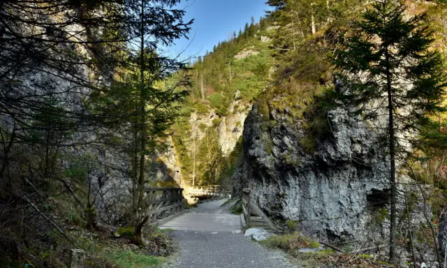 Kamienista ścieżka prowadzi przez wąwóz, przez drewniane mostki, w kierunku górskich zboczy. Idealne miejsce na odkrywanie szlaków turystycznych Zakopane.