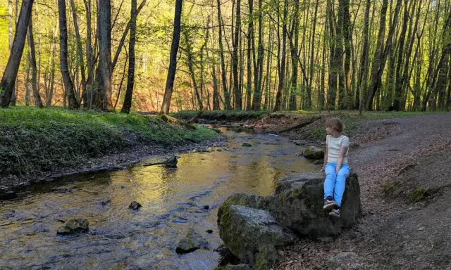 Dziewczynka siedzi na kamieniu nad strumieniem w lesie. Wiosna w dolinie Racławki.