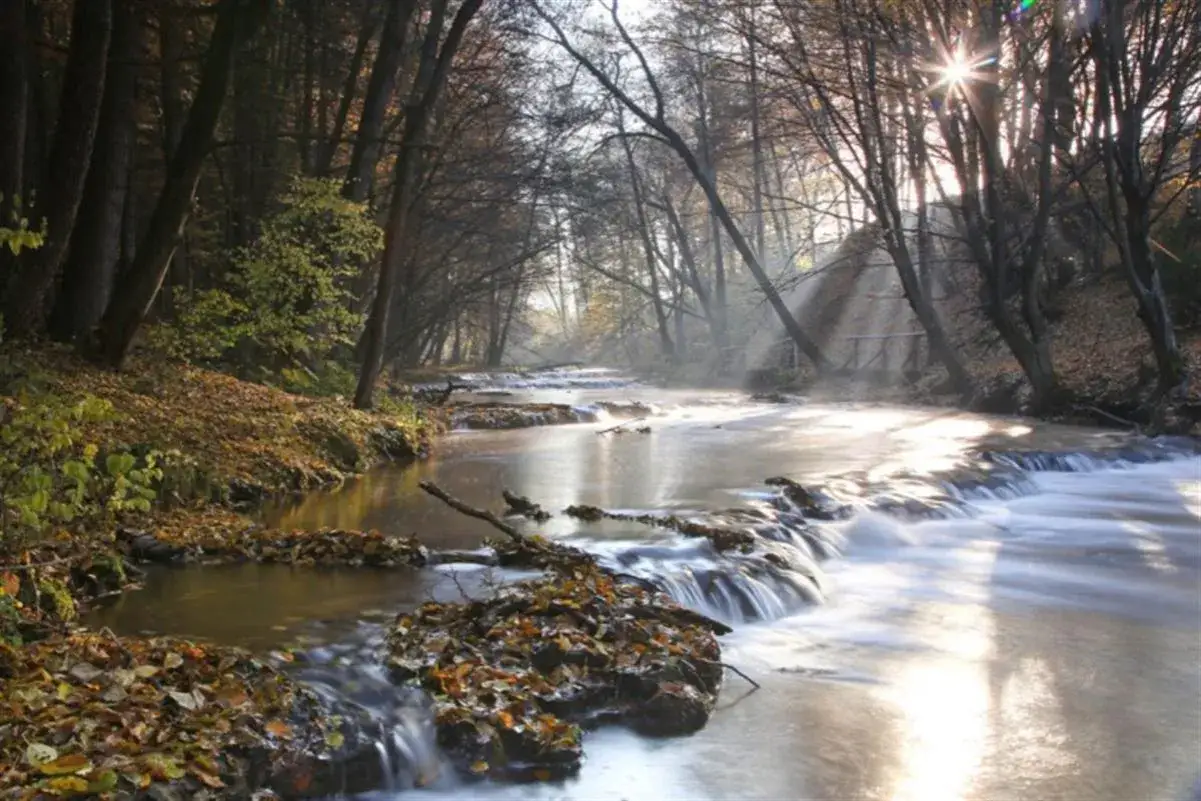 Jesienny strumień w lesie, mgła i promienie słońca tworzą magiczną atmosferę. Idealne miejsce na przejażdżkę roztoczem rowerem.