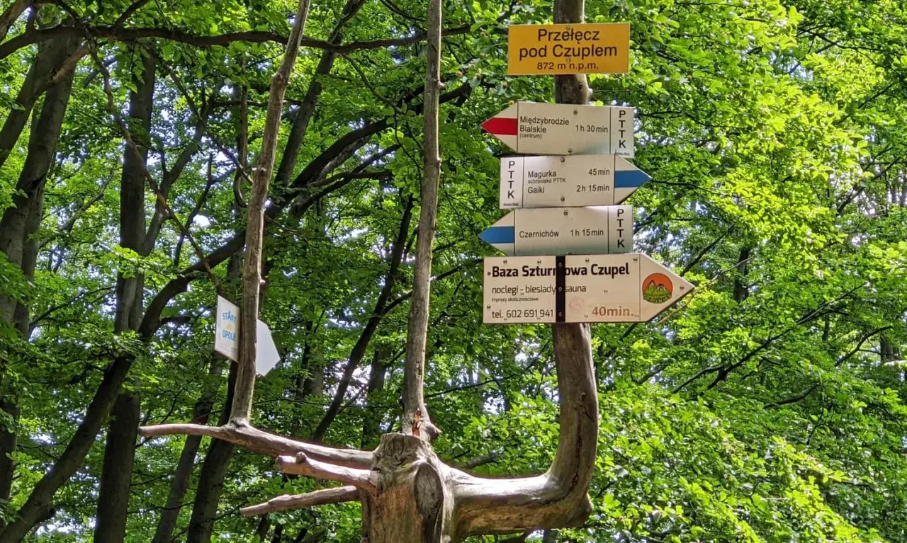 Rozdroże szlak&oacute;w turystycznych pod Czuplem. Wskaz&oacute;wki pokazują drogę do schroniska, centrum i innych punkt&oacute;w na trasie.