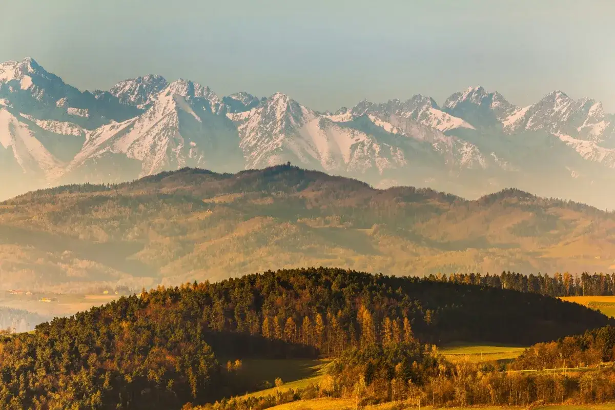 Widok na ośnieżone szczyty Tatr, kt&oacute;re g&oacute;rują nad jesiennymi wzg&oacute;rzami i lasami. Piękno Karpat w Polsce.