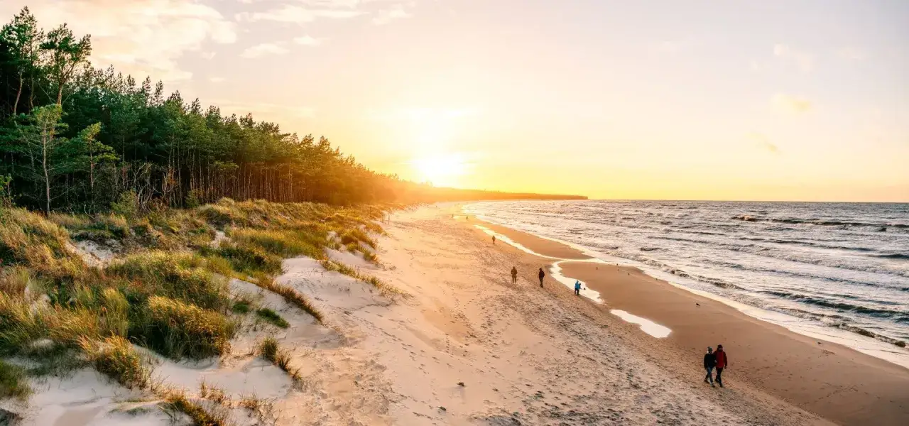Zachód słońca nad morzem, piaszczysta plaża z wydmami i lasem sosnowym. Spacerujący ludzie odkrywają grzybowo atrakcje.