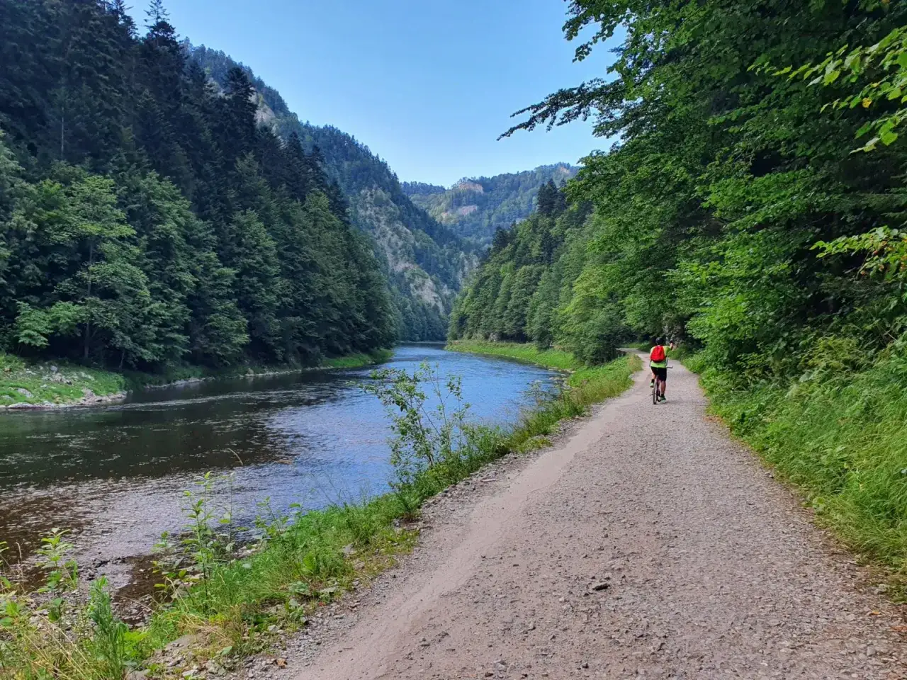 Rowerzysta przemierza malowniczą trasę Velo Dunajec, otoczony zielonymi lasami i spokojną rzeką.
