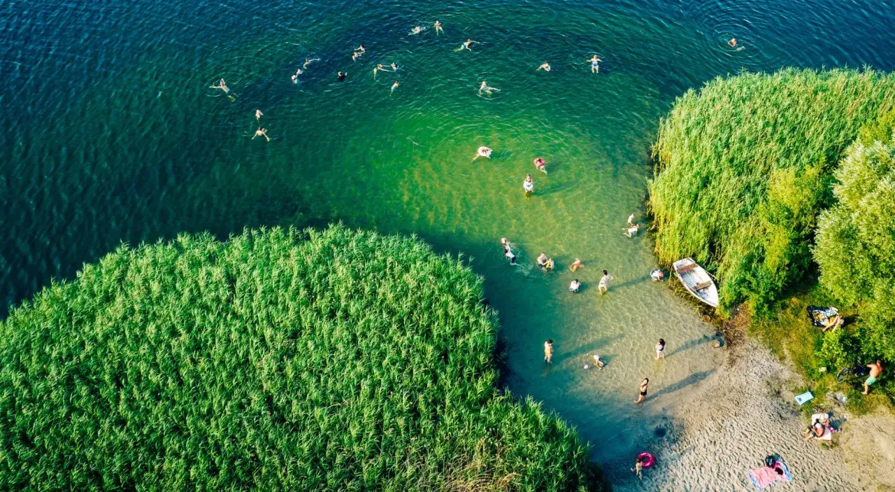Słoneczna mazurska plaża z ludźmi kąpiącymi się w krystalicznie czystej wodzie, otoczona bujną zielenią trzcin i drzew.
