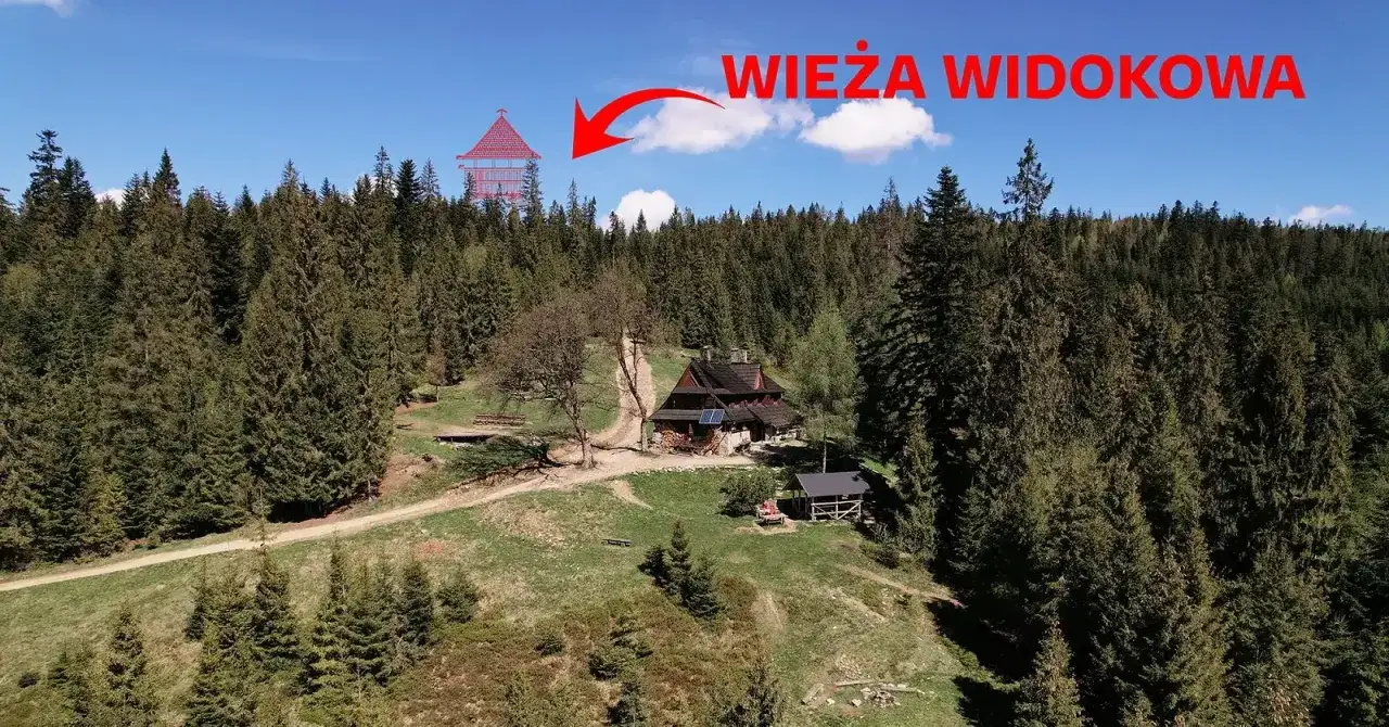 Widok na górskie schronisko i las. W oddali widoczna wieża widokowa, cel wędrówki po gorcach szlaki.
