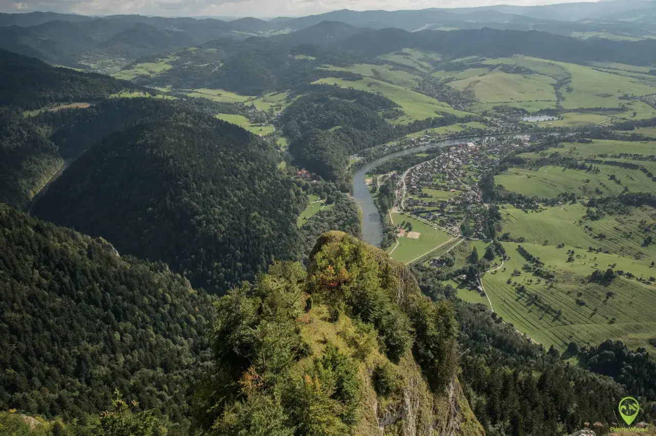 Widok z g&oacute;ry na malownicze Pieniny, rzekę Dunajec i urokliwą miejscowość. Widać liczne szlaki turystyczne wijące się wśr&oacute;d zielonych wzg&oacute;rz i las&oacute;w.