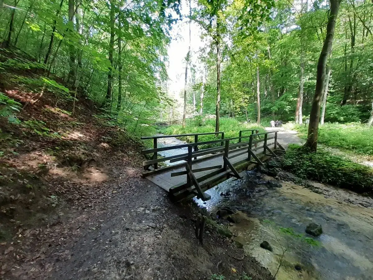 Drewniany mostek nad strumieniem w zielonej dolinie Racławki. Ścieżka prowadzi przez las.