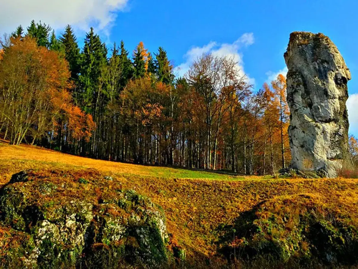 Maczuga Herkulesa, wysoka skała wapienna, góruje nad jesiennym lasem. Gdzie jest? W Ojcowskim Parku Narodowym.